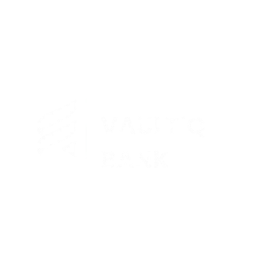 VAULTIQ